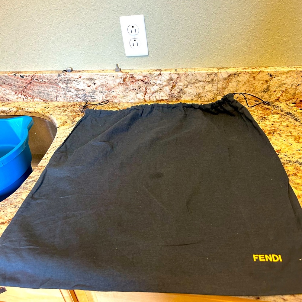 Fendi purse dust bag